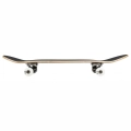 Birdhouse skateboard deskorolka 8.0 Tony Hawk Shield (2).jpg