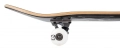 birdhouse-stage-1-deskorolka-skateboard-tony-hawk-crest-black-8 (4).jpg