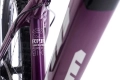 ctm raptor 1.0 dirt rower fahrrad kolo  violett black (3).webp