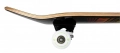 Tony Hawk skateboard deskorolka 8.0 180+ Stacked Logo (2).webp