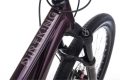 ctm-dirtking-xpert-dirt-mtb-rower-fahrrad-kolo-jump-bike-2022 (2).webp