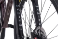 ctm-dirtking-xpert-dirt-mtb-rower-fahrrad-kolo-jump-bike-2022 (7).webp