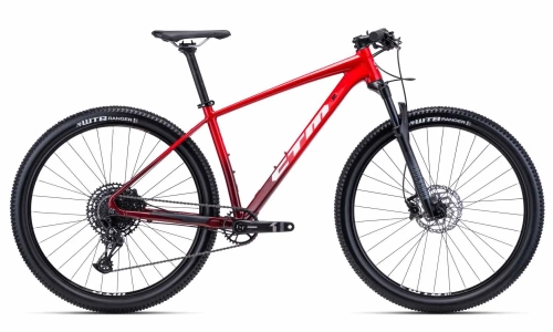 rower-mtb-xc-ctm-rascal-2-29-fahrrrad-kolo-bike (1).webp