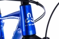 rower-mtb-xc-ctm-rascal-1-29-fahrrrad-kolo-bike (4).webp