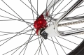 dk-legend-retro-cruiser-26-street-wheelie-rower-miejski-rad-fahrrad-kolo-bike-raw (9).webp