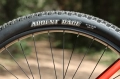 fairdale-taj-rower-fahrrad-kolo-cruiser-wheelie-fire-red (10).webp