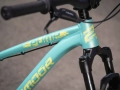 dartmoor-gamer-pump-24-dirt-rower-fahrrad-rad-kolo-bike-mint-banana-2023 (4).webp