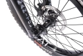 wtp-wethepeople-swamp-master-dirt-bmx-bmx-rower-fahrrad-rad-kolo-bike (12).webp