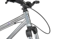 radio-asura-pro-26-rower-dirt-mtb-wheelie-rad-fahrrad-kolo-spectral-silver (6).webp