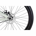 ctm-dirtking-26-dirt-rower-fahrrad-rad-kolo-bike-grey-2024 (8).webp