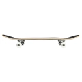 Birdhouse-Stage-3-skateboard-deskorolka-hawk-falcon (2).webp