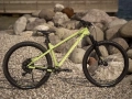 dartmoor-primal-evo-29-mtb-rower-rad-fahrrad-kolo-green-olive (10).webp