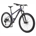 gt-avalanche-expert-29-mtb-rower-gorski-rad-fahrrad-kolo-purple (2).webp