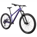 gt-zaskar-com-lt-29-mtb-rower-gorski-rad-fahrrad-kolo-purple (2).webp