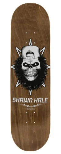 birdhouse-pro-8-deck-blat-deska-deskorolki-skateboard-hale-skull.webp