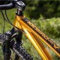 dartmoor-rocbird-junior-26-mtb-full-enduro-rower-dziecka-fahrrad-kinder-rad-kolo-dite-bike-copper-orange (9).webp