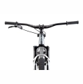 ctm-dirtking-pro-26-mtb-dirt-rower-fahrrad-kolo-rad-bike-grey (2).webp