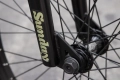 sunday-forecaster-freecoaster-bmx-20-rower-rad-fahrrad-kolo-bike-broc-raiford-gold (12).webp