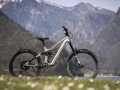 dartmoor-thunderbird-fr-pro-27-mtb-full-dh-rower-fahrrad-rad-kolo-bike-metallic-silver (11).webp