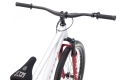 ctm-dirtking-pro-26-mtb-dirt-rower-fahrrad-rad-bike-matt-silver (5).webp