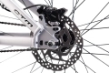ctm-dirtking-pro-26-mtb-dirt-rower-fahrrad-rad-bike-matt-silver (8).webp