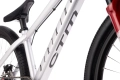 ctm-dirtking-pro-26-mtb-dirt-rower-fahrrad-rad-bike-matt-silver (9).webp