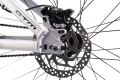 ctm-dirtking-pro-26-mtb-dirt-rower-fahrrad-rad-bike-matt-silver (10).webp
