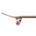 Birdhouse-kit-team-logo-8-deskorolka-skateboard-tony-hawk-black (9).webp