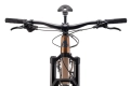 ctm-skaut-60-pro-29-mtb-trail-rower-fahrrad-rad-bike-matt-gold (4).webp