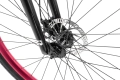radio-legion-29-rower-urban-wheelie-rad-fahrrad-kolo-bike-black-red (13).webp