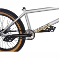 fitbike-str-20-freecoaster-bmx-rower-fahrrad-rad-kolo-bike-grey-matte-silver (4).webp