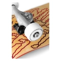 enuff-three-tier-deskorolka-skateboard-natural (10).webp