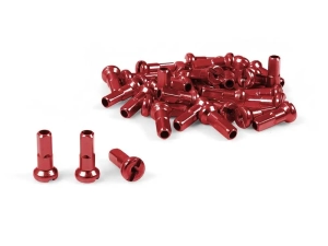 Dartmoor nyple 38 szt. | Red