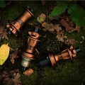 Dartmoor-Reel-pro-v2-mtb-dirt-piasta-tylna-hinterrad-nabe-zadni-naba-10T-13t-32h-singlespeed-choco (3).webp