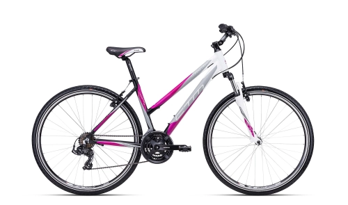 rower mtb ctm maxima 1.0 fahrrad bike black mat schwarz violet-min.jpg