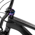 dartmoor-thunderbird-cf-evo-29-mtb-enduro-full-rower-fahrrad-rad-kolo-bike-graphite-black (3).webp