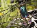 dartmoor-thunderbird-cf-evo-29-mtb-enduro-full-rower-fahrrad-rad-kolo-bike-graphite-black (15).webp
