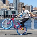 se-bikes-big-ripper-29-wheelie-bmx-cruiser-rower-fahrrad-kolo-w-all (3).webp