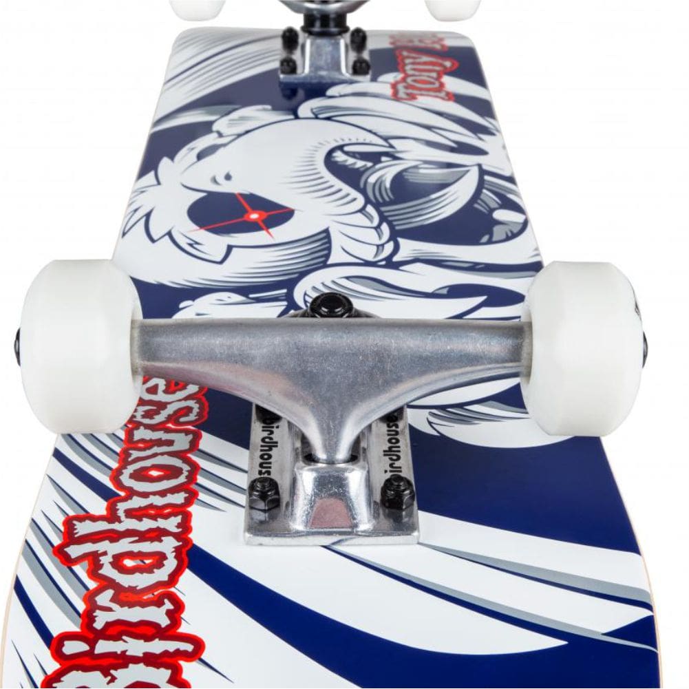 Skateboard Complet Birdhouse Stage 1 Hawk Spiral - Bleu, 7.75", Trucks Et Roues ABEC 5 Inclus